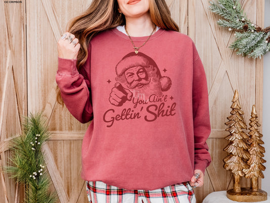 You Ain't Getting Shit - Comfort Colors